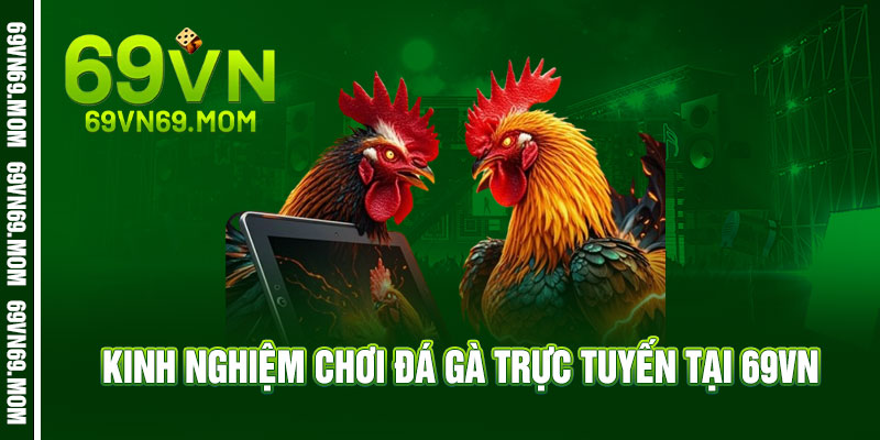 Đá Gà 69VN - Cực phê tỷ lệ, cực đã chiến thắng 3 Kinh Nghiệm Chơi Đá Gà Trực Tuyến Tại 69VN